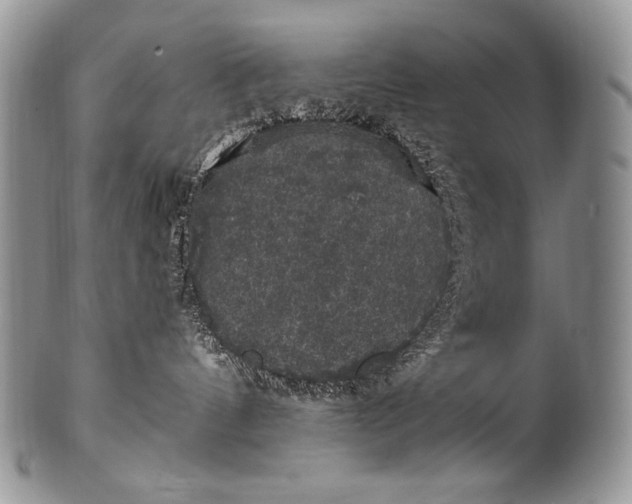 X0000100390144200806201722