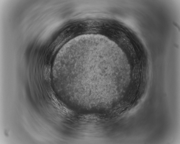 X0000100390146200806201721