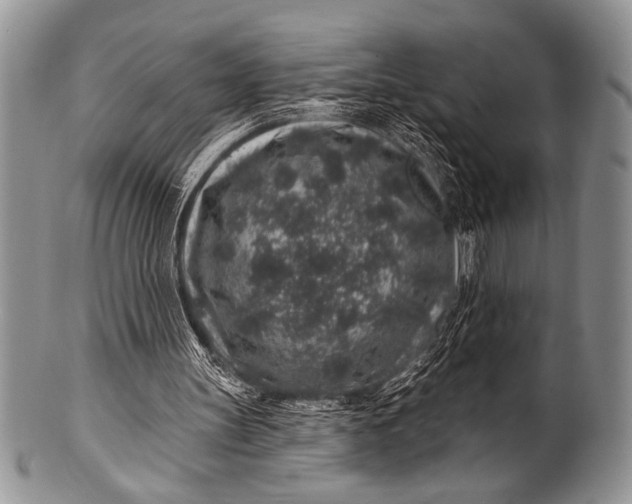 X0000100390147200806201721