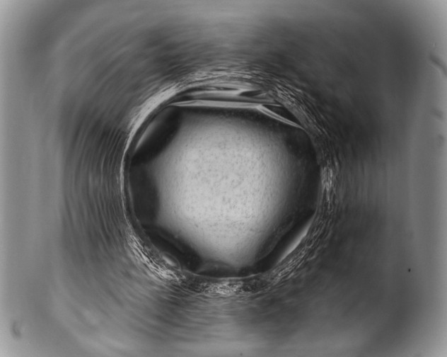 X0000100390148200806201721