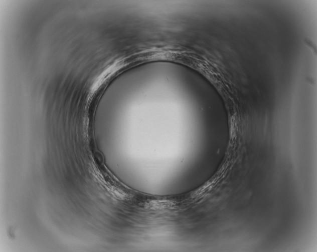 X0000100390150200806201721