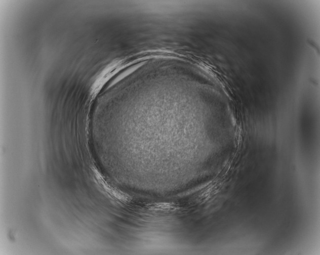 X0000100390151200806201721