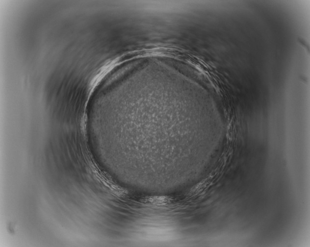 X0000100390152200806201721