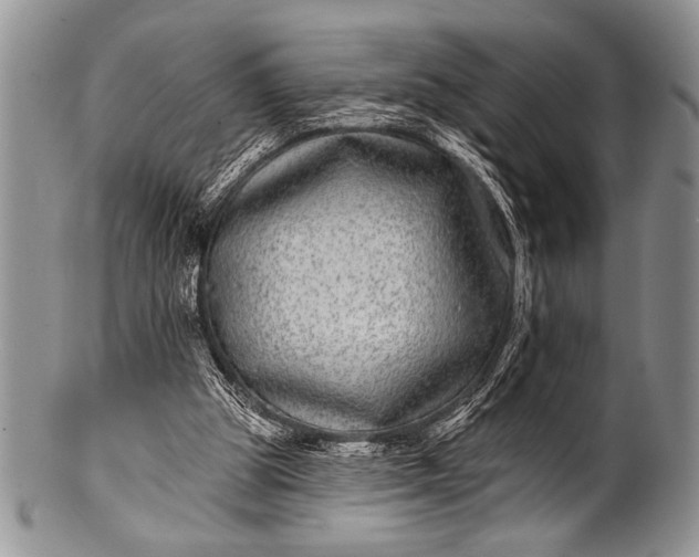 X0000100390153200806201721