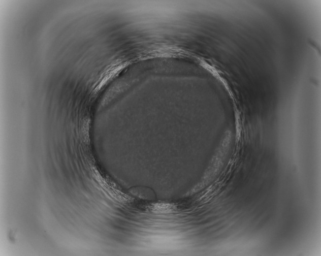 X0000100390154200806201721