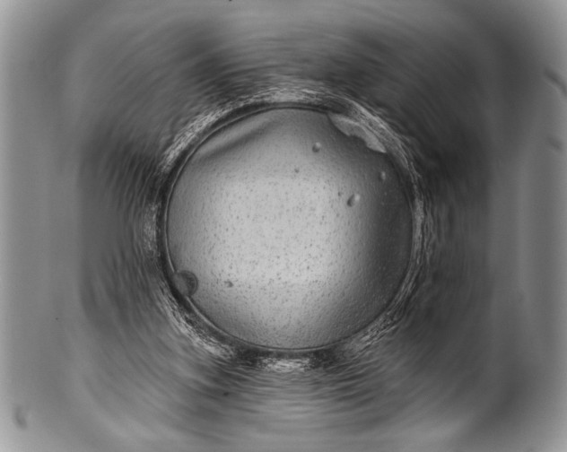 X0000100390155200806201721