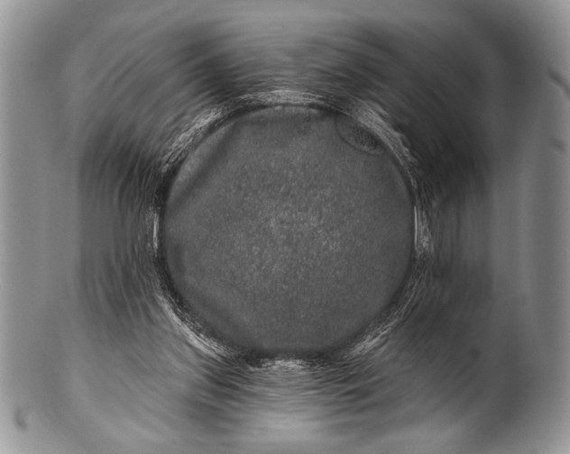 X0000100390157200806201721