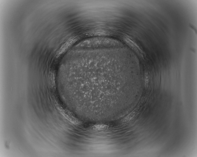 X0000100390158200806201721