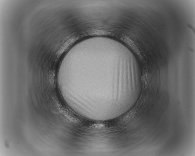 X0000100390159200806201721