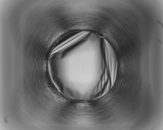 X0000100390160200806201721