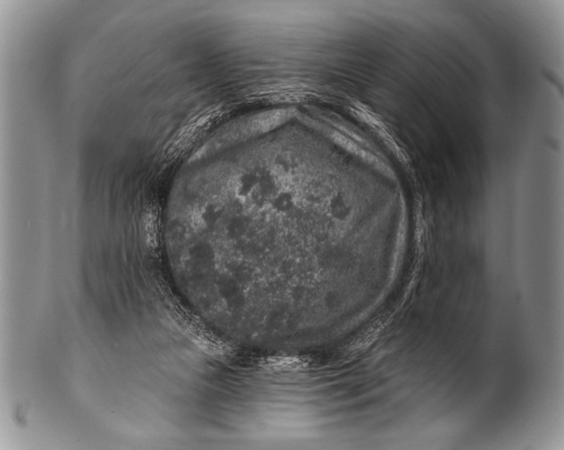 X0000100390161200806201722