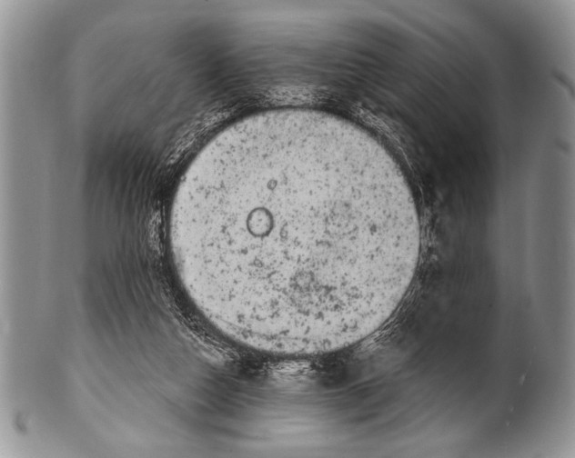 X0000100390162200806201722