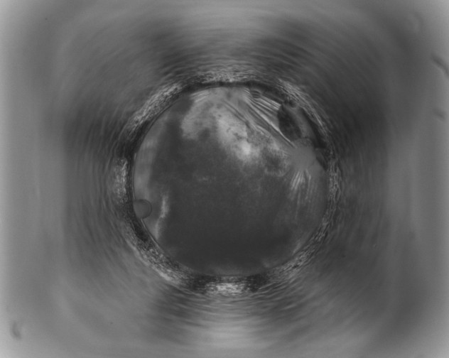 X0000100390163200806201722