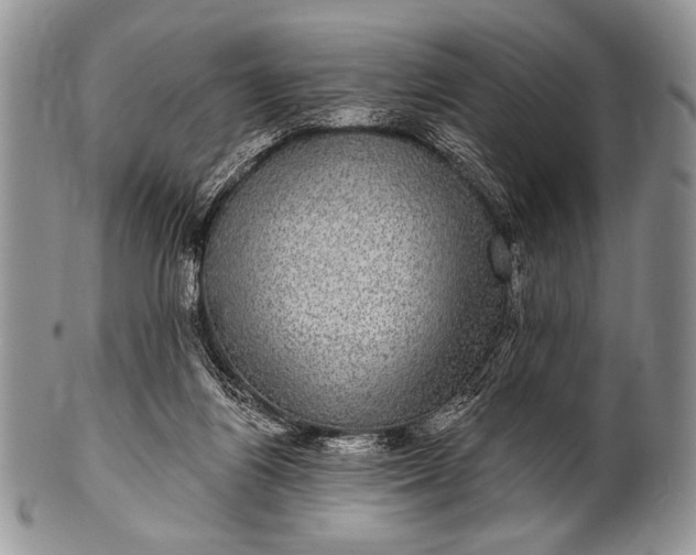 X0000100390164200806201722