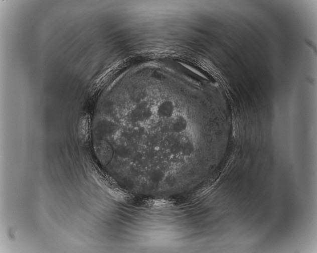 X0000100390165200806201722