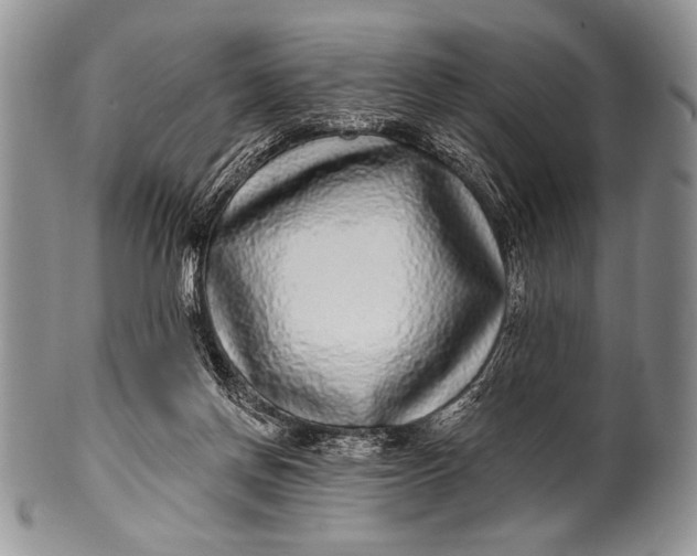 X0000100390166200806201722