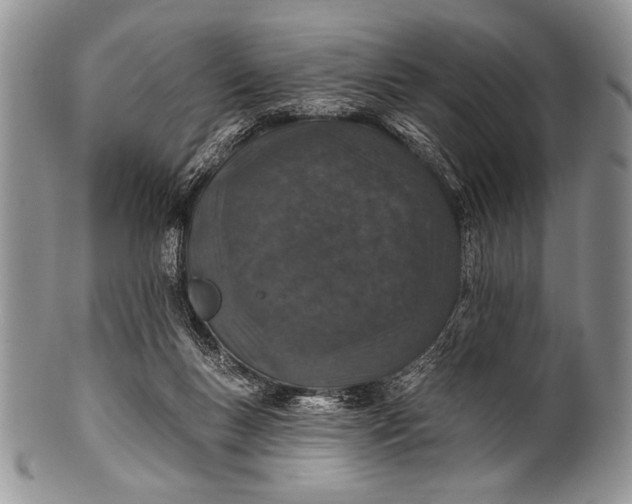 X0000100390167200806201722