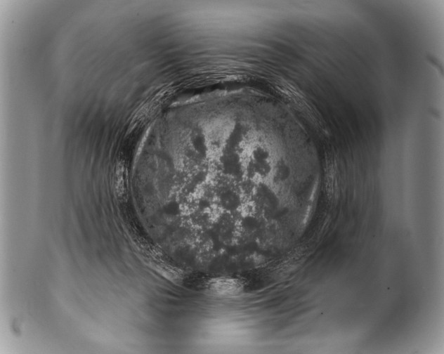 X0000100390169200806201722