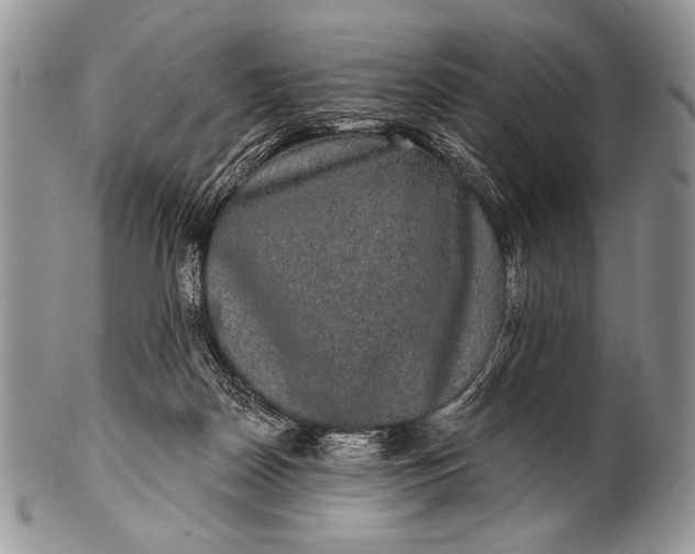 X0000100390170200806201722