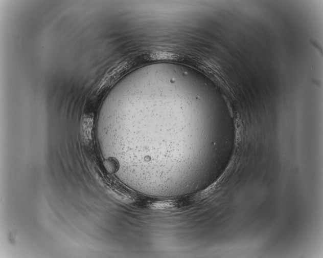 X0000100390171200806201722