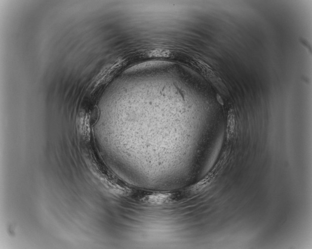 X0000100390172200806201722