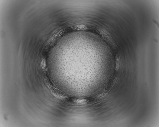 X0000100390173200806201722