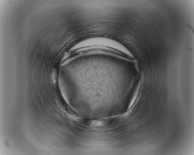 X0000100390174200806201722