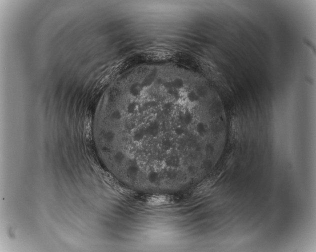 X0000100390177200806201722