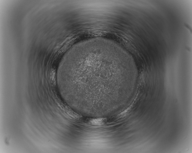 X0000100390178200806201722