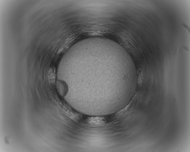 X0000100390179200806201722