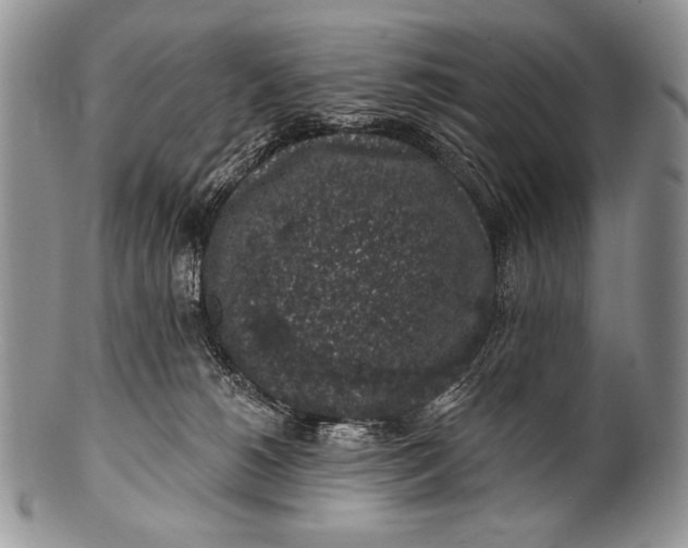 X0000100390180200806201722