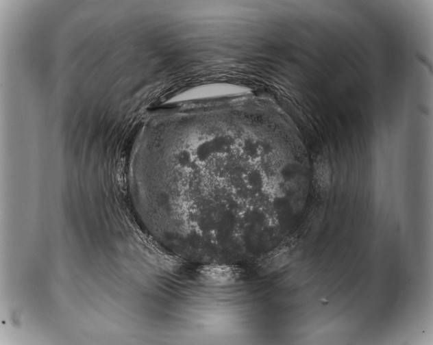 X0000100390181200806201722