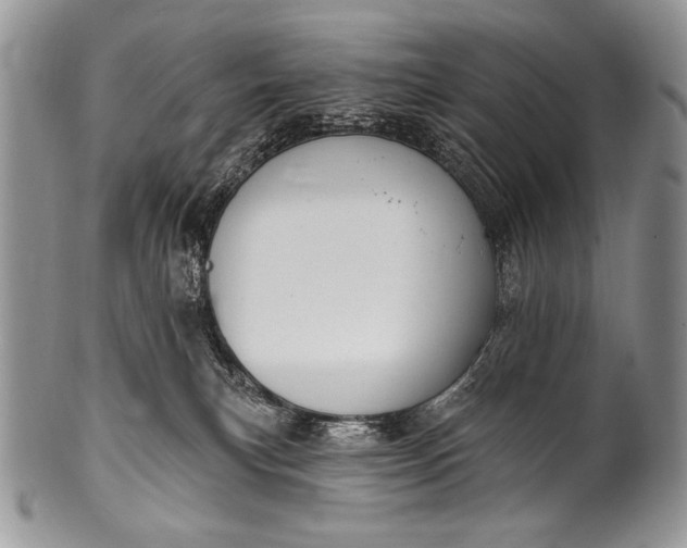 X0000100390183200806201722