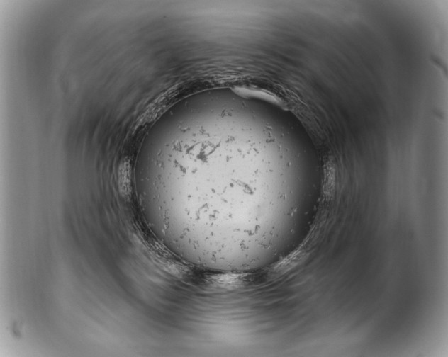 X0000100390184200806201722