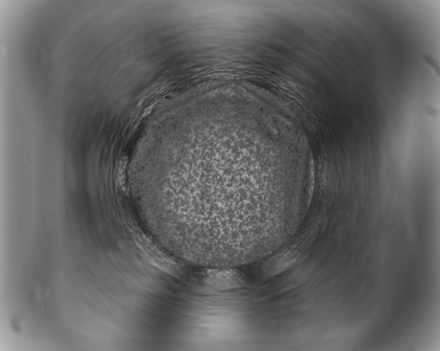 X0000100390185200806201722