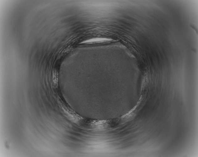 X0000100390186200806201722