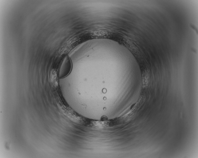 X0000100390187200806201722