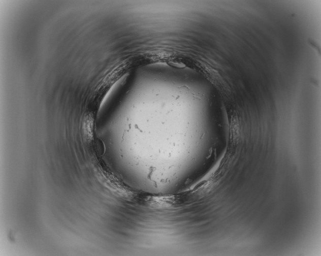 X0000100390188200806201722