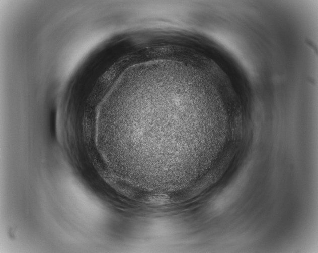 X0000100390189200806201722