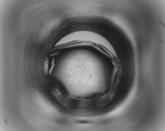 X0000100390190200806201722