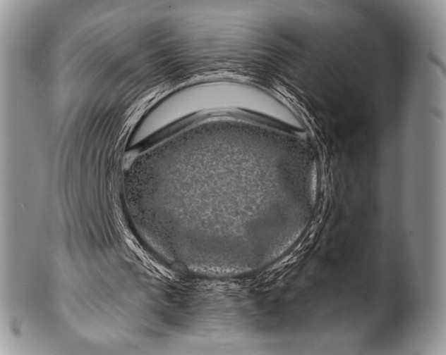 X0000100390193200806201721