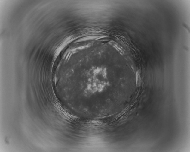 X0000100390195200806201721