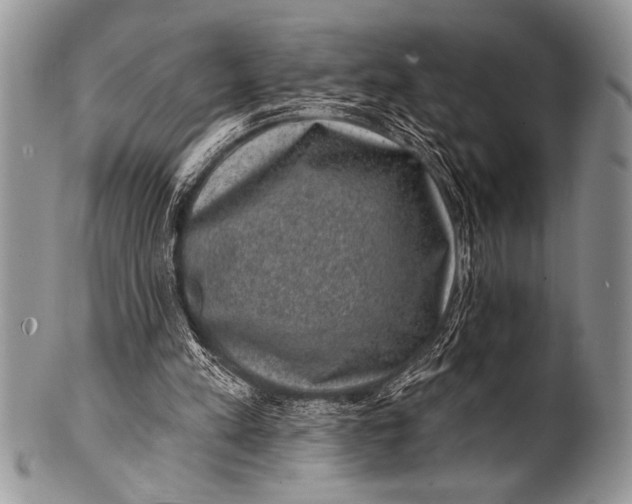 X0000100390197200806201721