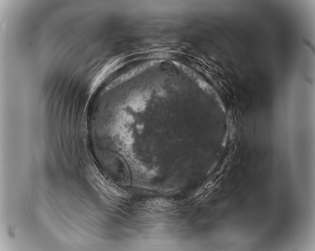 X0000100390198200806201721