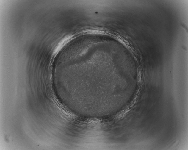 X0000100390199200806201721