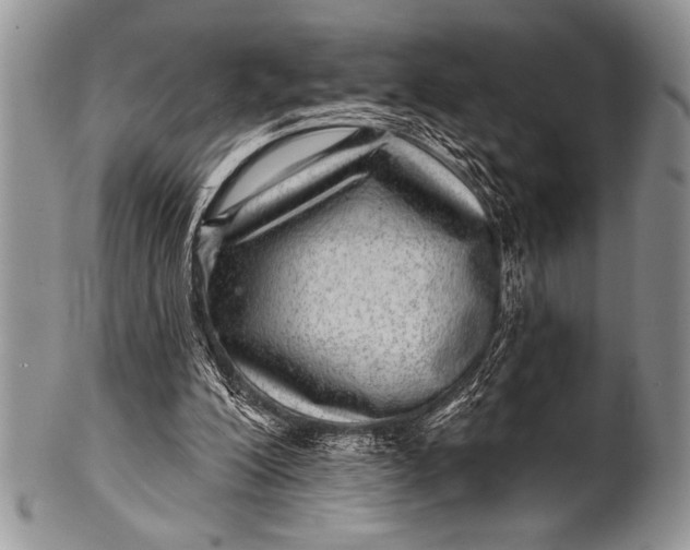 X0000100390200200806201721