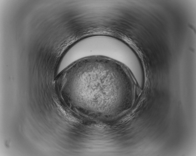 X0000100390201200806201721