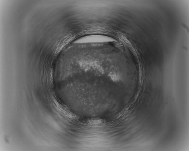 X0000100390202200806201721