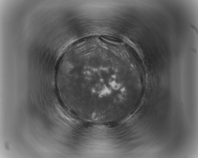 X0000100390203200806201721