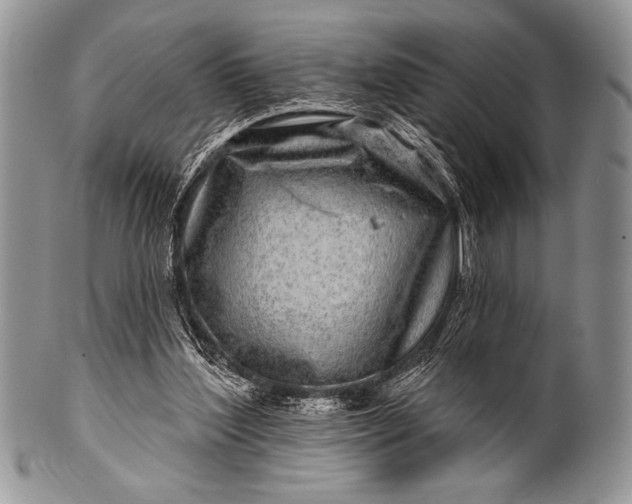 X0000100390204200806201721